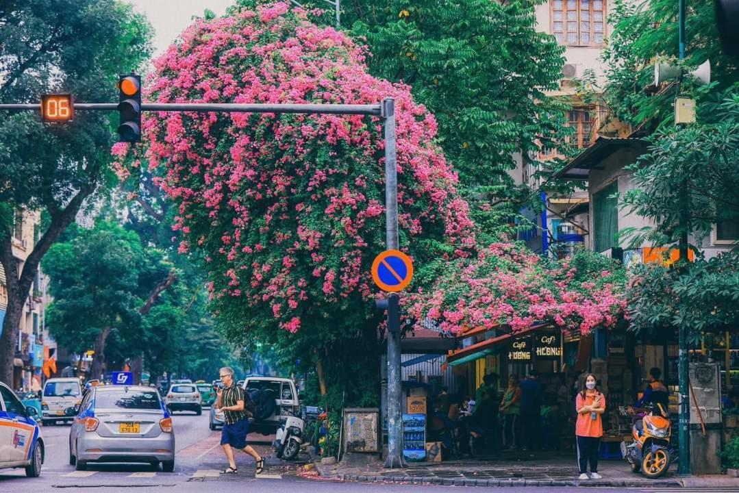 Tropical Land Little Hanoi Homestay 외부 사진