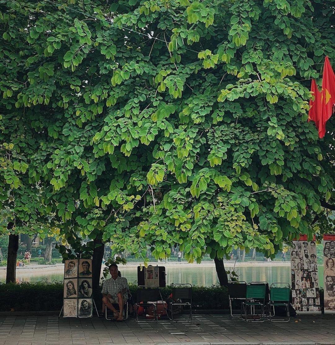 Tropical Land Little Hanoi Homestay 외부 사진