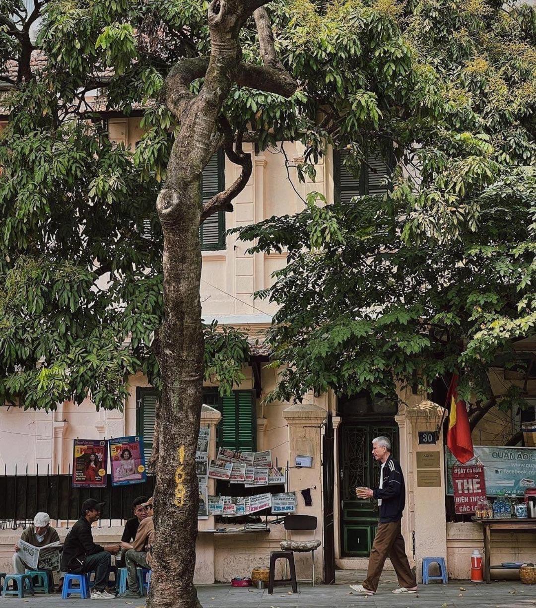 Tropical Land Little Hanoi Homestay 외부 사진