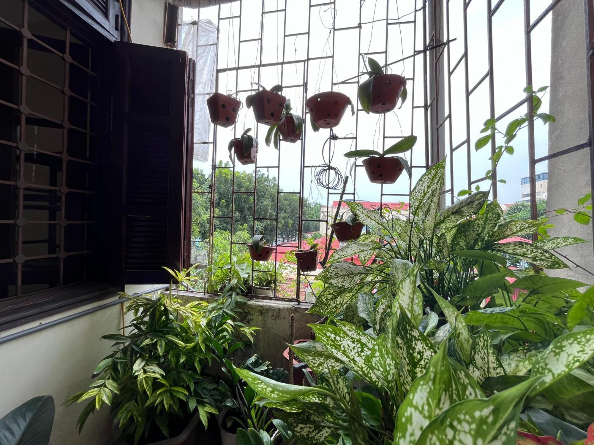 Tropical Land Little Hanoi Homestay 외부 사진