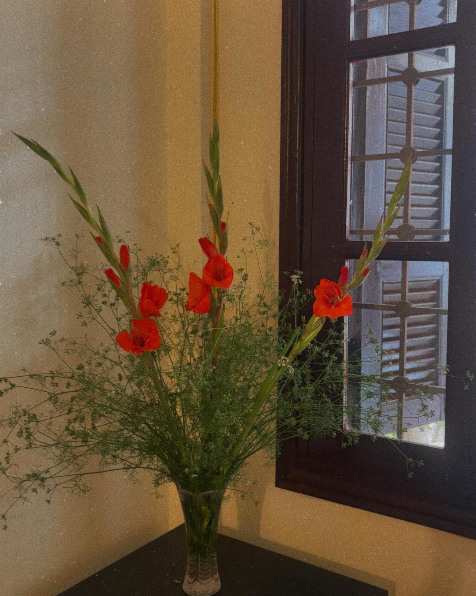 Tropical Land Little Hanoi Homestay 외부 사진
